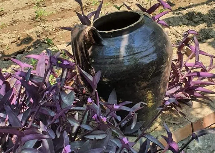 別荘 Casa Al Mare カプリ